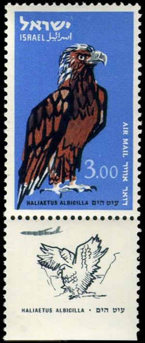 Colnect-2249-434-White-tailed-Eagle-Haliaeetus-albicilla.jpg