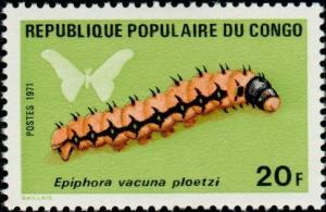 Colnect-2313-300-Silk-Moth-Epiphora-vacuna-ploetzi.jpg
