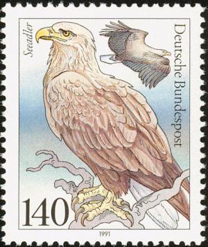 Colnect-2482-705-White-tailed-Eagle-Haliaeetus-albicilla.jpg