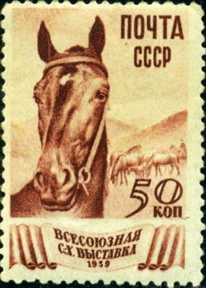 Colnect-3217-904-Horse-Equus-ferus-caballus.jpg