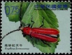 Colnect-3551-604-Beetle-Erythrus-formosanus-.jpg