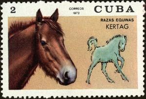 Colnect-4828-596-Kertag-Equus-ferus-caballus.jpg
