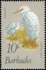 Colnect-578-219-Cattle-Egret-Bubulcus-ibis.jpg