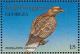 Colnect-1104-841-White-tailed-Eagle-Haliaeetus-albicilla.jpg