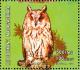Colnect-1458-237-Long-eared-Owl-Asio-otus.jpg