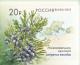 Colnect-2629-563-Juniperus-excelsa-Flora-of-Russia.jpg