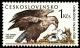 Colnect-3789-422-White-tailed-Eagle-Haliaeetus-albicilla.jpg