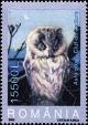 Colnect-5177-727-Long-eared-Owl-Asio-otus.jpg