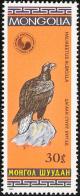 Colnect-859-484-White-tailed-Eagle-Haliaeetus-albicilla.jpg