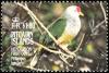 Colnect-2648-975-Henderson-Island-Fruit-dove-Ptilinopus-insularis.jpg