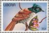 Colnect-3811-668-African-Paradise-Flycatcher-Terpsiphone-viridis.jpg