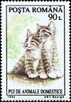 Colnect-4918-723-Kittens-Felis-silvestris-catus.jpg