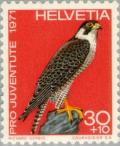 Colnect-140-449-Peregrine-Falcon-Falco-peregrinus.jpg
