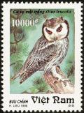 Colnect-1613-139-Northern-White-faced-Owl-Ptilopsis-leucotis.jpg