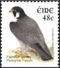 Colnect-1902-353-Peregrine-Falcon-Falco-peregrinus.jpg