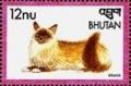 Colnect-3393-591-Burmese-Felis-silvestris-catus.jpg