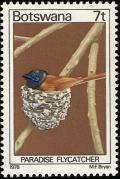 Colnect-597-723-African-Paradise-Flycatcher-Terpsiphone-viridis.jpg
