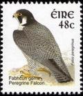 Colnect-617-130-Peregrine-Falcon-Falco-peregrinus.jpg