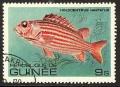 Colnect-965-758-Red-Soldier-Fish-Holocentrus-hastatus.jpg