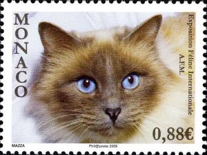 Colnect-1153-560-Ragdoll-Felis-silvestris-catus.jpg