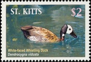 Colnect-1659-396-White-faced-Whistling-Duck.jpg