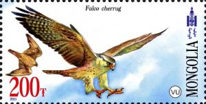 Colnect-2247-229-Saker-Falcon-Falco-cherrug.jpg