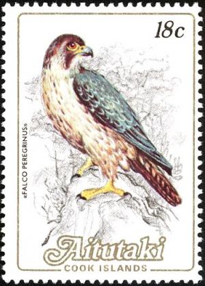 Colnect-2651-966-Peregrine-Falcon-Falco-peregrinus.jpg