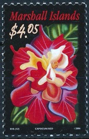 Colnect-3721-313-Hibiscus-Flowers---Capsicum-Red.jpg