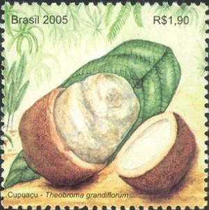 Colnect-488-053-Cupuaco---The-exotic-flavour-of-the-Brazilian-Amazonia.jpg