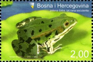 Colnect-5869-295-Green-Frog-Rana-esculenta.jpg