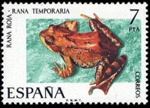 Colnect-649-153-Common-Frog-Rana-temporaria.jpg