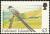 Colnect-1674-610-Fork-tailed-Flycatcher-Tyrannus-savana.jpg