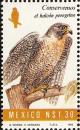 Colnect-1490-774-Peregrine-Falcon-Falco-peregrinus.jpg