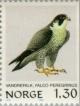 Colnect-161-997-Peregrine-Falcon-Falco-peregrinus.jpg