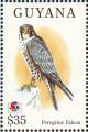 Colnect-1664-216-Peregrine-Falcon-Falco-peregrinus.jpg