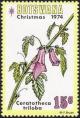 Colnect-1753-413-South-African-Foxglove-Ceratotheca-triloba.jpg