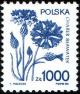 Colnect-1969-485-Blue-corn-flower-Centaurea-cyanus.jpg
