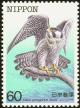 Colnect-608-841-Peregrine-Falcon-Falco-peregrinus-ssp-furuitii-.jpg