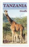 Colnect-1080-243-Giraffe-Giraffa-camelopardalis.jpg