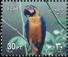 Colnect-1646-559-Blue-and-Gold-Macaw-Ara-ararauna.jpg