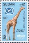 Colnect-1870-925-Reticulated-Giraffe-Giraffa-camelopardalis-reticulata.jpg