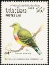 Colnect-822-052-Orange-breasted-Green-Pigeon-Treron-bicinctus.jpg
