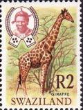 Colnect-2906-224-Giraffe-Giraffa-camelopardalis.jpg