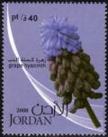 Colnect-5334-552-Grape-hyacinth.jpg