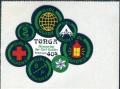 Colnect-5528-278-Badge-of-Girl-Scout-Organization.jpg