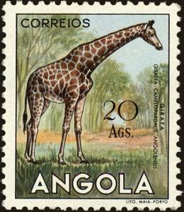 Colnect-4223-104-Giraffe-Giraffa-camelopardalis.jpg