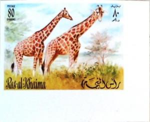 Colnect-1472-510-Giraffe-Giraffa-camelopardalis.jpg
