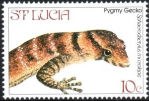 Colnect-2545-340-Saint-Lucia-Dwarf-Gecko-Sphaerodactylus-microlepis.jpg