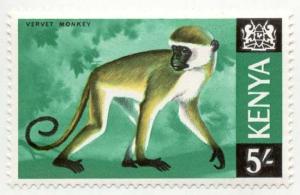Colnect-802-168-Green-Monkey.jpg