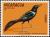 Colnect-1625-997-Great-tailed-Grackle-Quiscalus-mexicanus.jpg